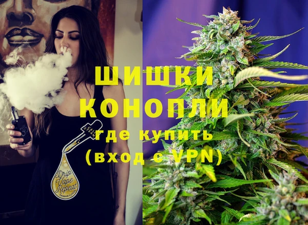 СК Каменногорск