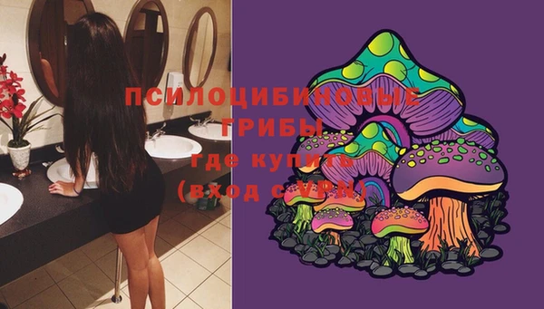 PSILOCYBIN Каменск-Шахтинский